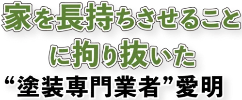 fv_copy_text_image_sp